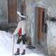 images/Predstavitev/O-Laufariji/koledovanje3.jpg